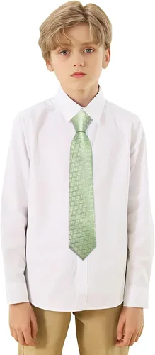 Vista 286 de Barry.Wang Corbata de niño regular seda tejida rayas sólido lazo bolsillo cuadrado