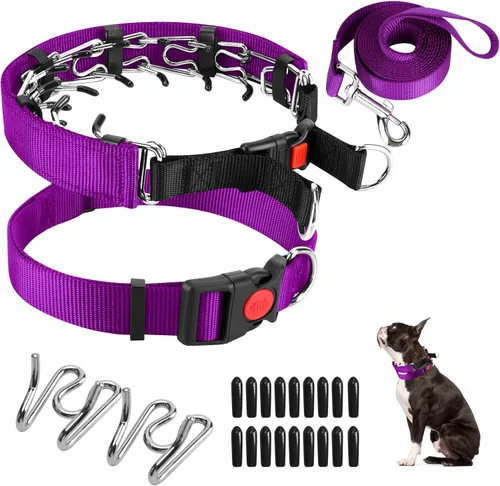 Vista 8 de Collar de entrenamiento de puntas con puntas cómodas y hebilla de cierre rápido – Collar de pellizco para perro con cubierta de nailon