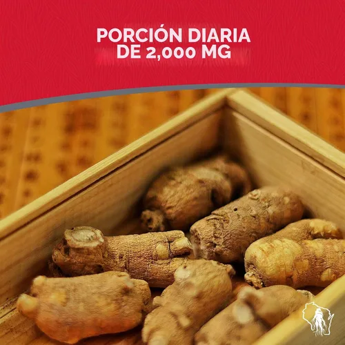 Vista 4 de Dairyland Ginseng - Cápsulas de Notoginseng - 75 unidades - Cápsulas del complejo Tienchi Ginseng - Auténtica cápsula de Notoginseng - Cápsulas