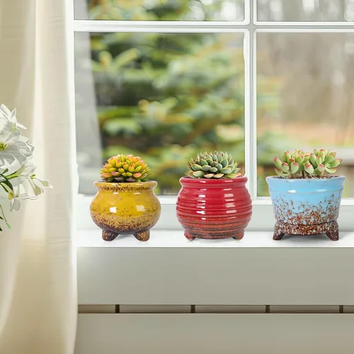 Vista 3 de ARTKETTY Succulent Pots, Small Plant Pots with Drainage Set of 6 Colorido-B