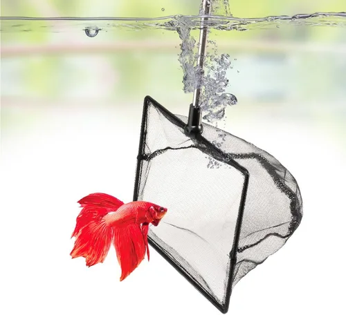 Vista 10 de DaToo Red de peces de acuario de 3 pulgadas para tanque de peces Betta Nano Nylon Net con mango extensible 6-16 pulgadas, 1 año de garantía