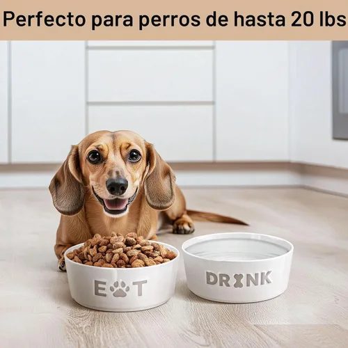Vista 4 de Juego de 2 cuencos de cerámica para perros con base antideslizante, 5.5 Gris