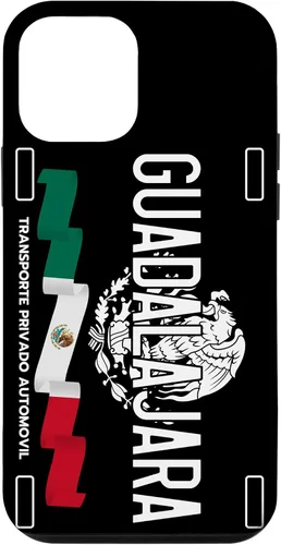 Vista 16 de Guadalajara License Plate Aesthetic, Jalisco Guadalajara Case for iPhone 17