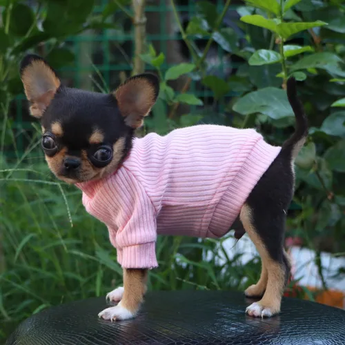 Vista 6 de LOPHIPETS Suéteres de cuello alto para perros pequeños para Chihuahua Teacup Yorkie Cachorro Ropa para Gatos - Rosa Claro Brillante/XXS