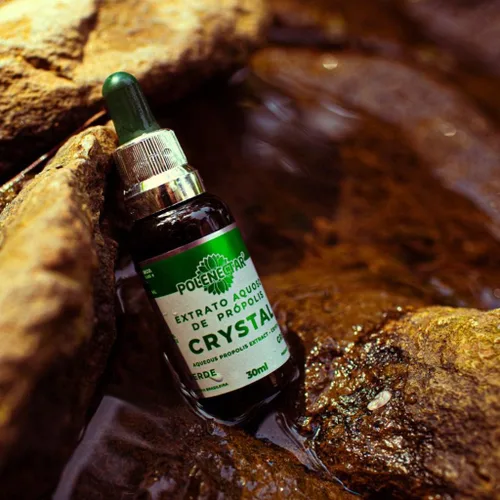 Vista 3 de 10 botellas de cristal de propóleo verde - Extracto de solución acuosa 30ML