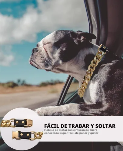 Vista 3 de Collar de perro de cadena dorada – Collar de perro de eslabones cubanos de metal de 7/8 pulgadas de ancho con cinturón de cuero, ligero protege