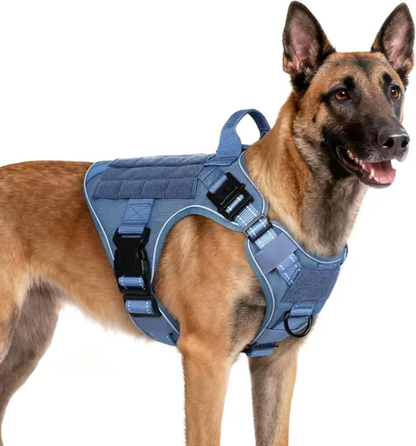 Vista 42 de rabbitgoo - Arnés táctico para perros pequeños, arnés resistente para mascotas con asa, chaleco de servicio sin tirones para razas pequeñas, chaleco