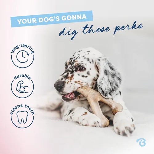 Vista 3 de Benebone Puppy Wishbone - Juguete masticable para perro, fabricado en Estados Unidos, sabor a tocino real, pequeño