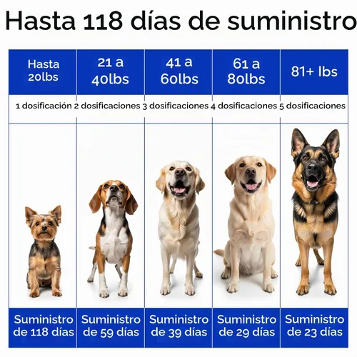 Vista 6 de Suplemento líquido de aceite de pescado Omega 3 para perros - Aceite
