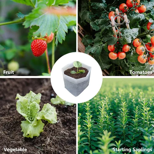 Vista 8 de Belit 100 bolsas de cultivo de enfermería, bolsa de cultivo de jardín para alta tasa de supervivencia de plántulas, plantación de plantas, semillas