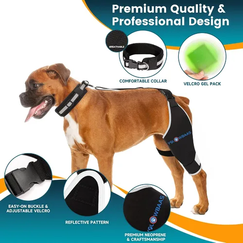 Vista 2 de Rodillera para perro para desgarro de ACL para pierna trasera con compresa caliente/fría, soporte ajustable para cadera de perro para desgarro