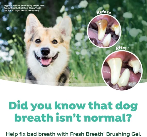 Vista 6 de TropiClean Fresh Breath - Kit de cepillado de dientes para perros pequeños/medianos