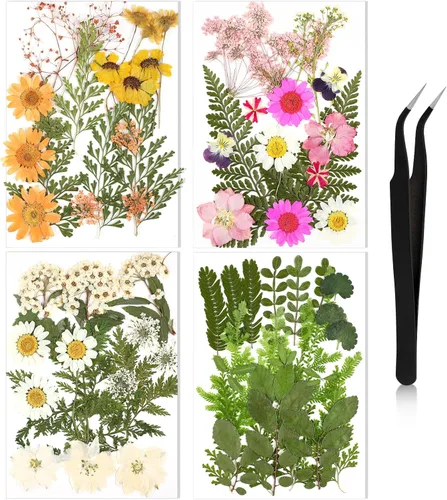 Vista 20 de Nuanchu Flores secas prensadas negras para manualidades, flores secas góticas, flores silvestres prensadas naturales a granel con pinzas para molde