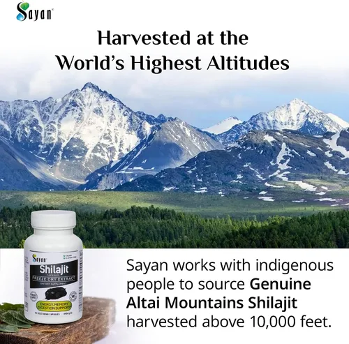 Vista 3 de Sayan Shilajit 90 cápsulas/440 mg ea.- Suplemento orgánico con alto contenido de ácido fúlvico para apoyar tu sistema inmunológico, reforzar