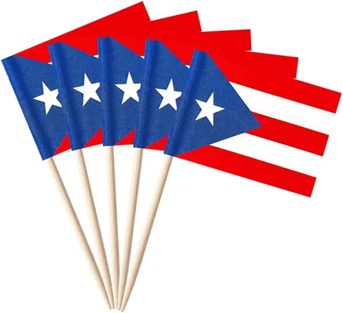 Vista 9 de stidsds 100 banderas de Antigua y Barbuda con palillos de dientes de Antigua y Barbuda, mini adornos pequeños para cupcakes de Antigua y Barbuda