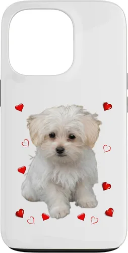Vista 9 de Funda para iPhone 11 Maltipoo Mix Fans para amantes de los perros maltés