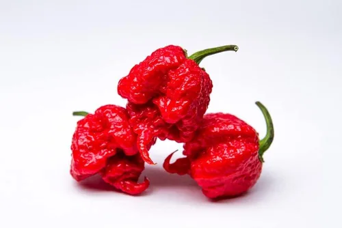 Vista 9 de Semillas de pimiento exótico para plantar - (pimienta de 5 colores)