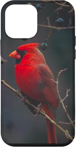 Vista 16 de Funda para iPhone 16 Cardinal Bird
