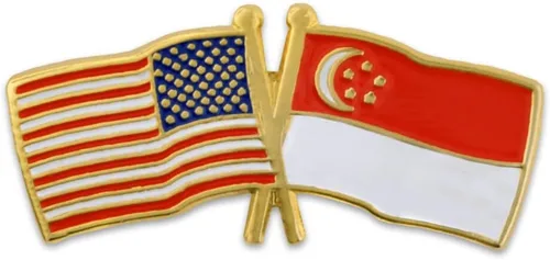 Vista 149 de PinMart Pin de solapa esmaltado con bandera de la amistad cruzada de Estados Unidos y el mundo