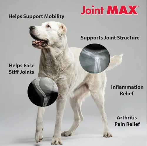 Vista 4 de Double Strength - Vitaminas, minerales y antioxidantes - Suplemento máximo de salud articular para perros - 120 tabletas masticables