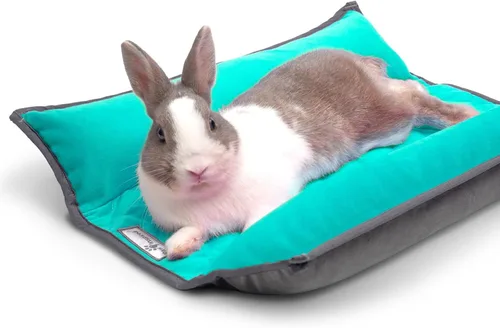 Vista 11 de Paw Inspired Snuggle - Cama con cojín de conejo, gris/gris claro, 17 x 17