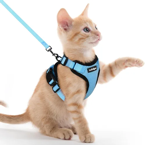 Vista 95 de rabbitgoo Cat Harness and Leash Set, Escape Proof Vest, XXS, Berry Pounce Soft Breathable Mesh, No-choke Adjustable Fit, Snap Buckles, Sturdy