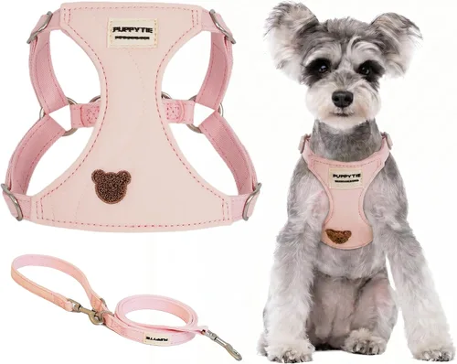 Vista 20 de Puppytie Arnés para perro y correa con patrón de oso, beige, XXS
