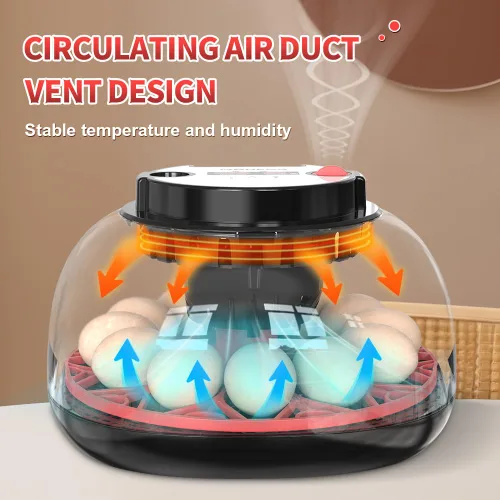 Vista 5 de HOWOOIUA 12 Incubadora para incubar huevos, pantalla de temperatura y humedad, vista de 360 ° para añadir agua automáticamente, incubadoras de velas