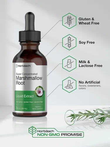 Vista 4 de Horbäach Tintura de extracto de raíz de malvavisco 2 onzas líquidas Althaea Officinalis Liquid Sin alcohol Vegetariano, sin OMG y sin gluten