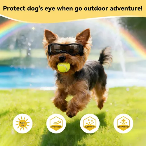 Vista 5 de Gafas para perros de razas pequeñas, lentes de sol para perros pequeños con protección UV, gafas para mascotas al aire libre, para equitación Negro