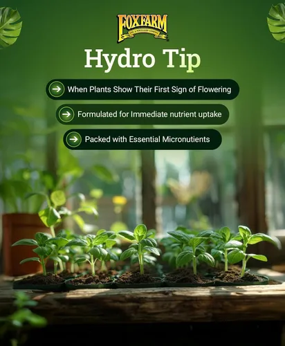 Vista 6 de Hydrofarm FX14094 Grow Big Hydro - Concentrado de alimento para plantas, 1 pinta., 1