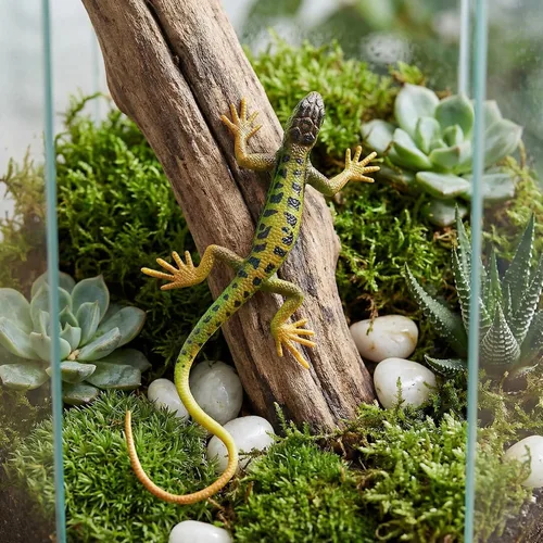 Vista 3 de NUOBESTY Realista falso lagarto modelo artificial reptil plástico lagarto figuras de acción trucos juguetes educativos broma 2 piezas