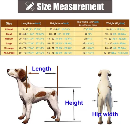Vista 7 de Silla de ruedas para perros con patas traseras discapacitadas para caminar, silla de ruedas de aluminio para perros, soporte para silla de ruedas