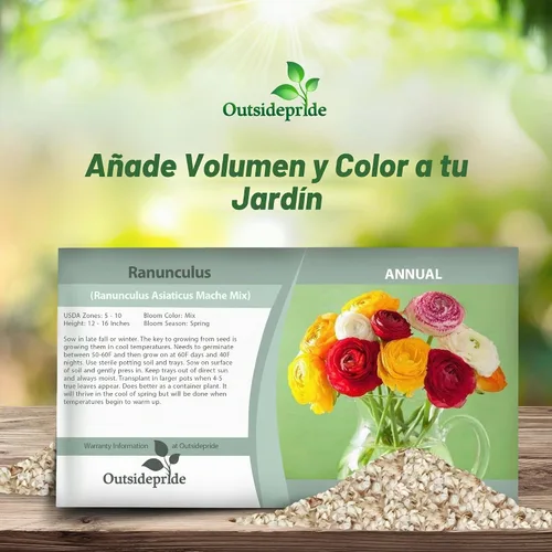 Vista 4 de Outsidepride 20 semillas anuales de ranúnculo persa ranúnculo macé flor semilla mezcla para plantar Mezcla de Mache