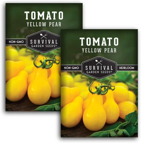 Vista 10 de Semillas de tomate Yellow Pear para plantar, variedad indeterminada de reliquia, racimos prolíficos de tomates cherry dorados en forma de pera