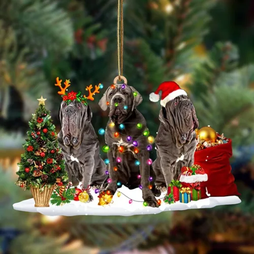 Vista 115 de Nazenti Adorno de Navidad personalizado con amigos Affenpinscher – Adorno de perro personalizado para amantes de las mascotas, acrílico plano