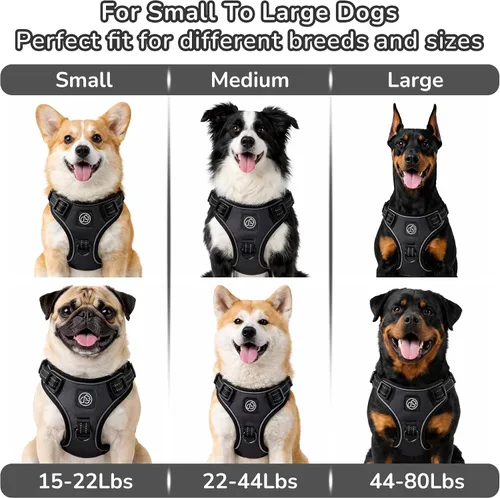 Vista 8 de EVERKING Arnés de chaleco sin tirones con asa, arnés ajustable impermeable con 4 hebillas, clip reflectante frontal y trasero para perros pequeños