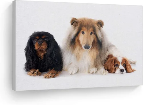 Vista 8 de Diseño de arte de la sonrisa Retrato de lindo Yorkie Yorkshire Terrier perro animal lienzo de pared impresión arte del dueño de mascotas amante