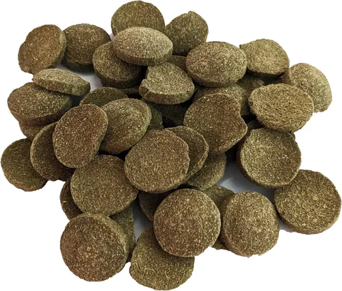 Vista 2 de Brine Shrimp Direct PhytoDisc Plus Obleas de algas espirulina, 16 onzas