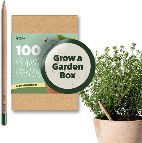Vista 9 de Sprout Lápices de madera World Edición para profesores Lápices de madera plantables de grafito preafilados HB con semillas de flores, hierbas
