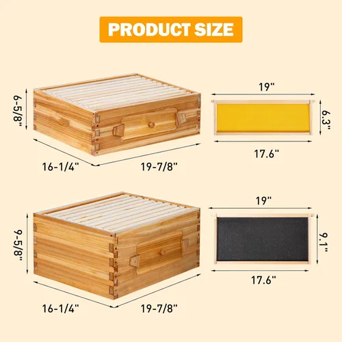 Vista 4 de BeeCastle Colmena Langstroth de 10 marcos con ventanas, colmena de abejas recubierta con cera de abejas para principiantes con marcos de colmena