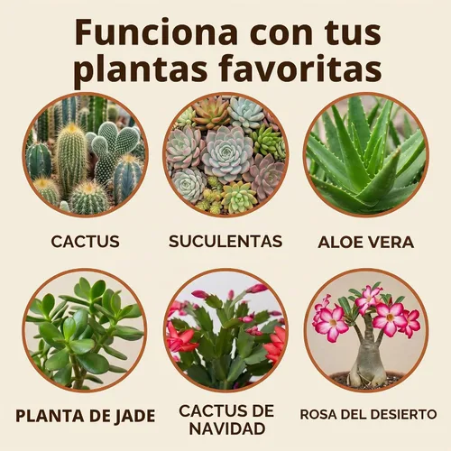 Vista 4 de Mezcla de tierra natural para macetas de cactus y suculentas (hecha en Estados Unidos) (4 cuartos secos)