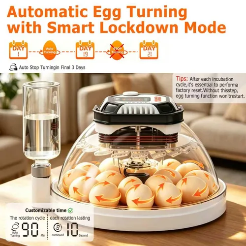 Vista 4 de Incubadoras de huevos de triocottage para incubar huevos, control de temperatura y humedad