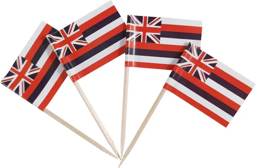 Vista 11 de JBCD Bandera de palillo de dientes de Arkansas Mini Banderas pequeñas para cupcakes de Arkansas, 100 piezas