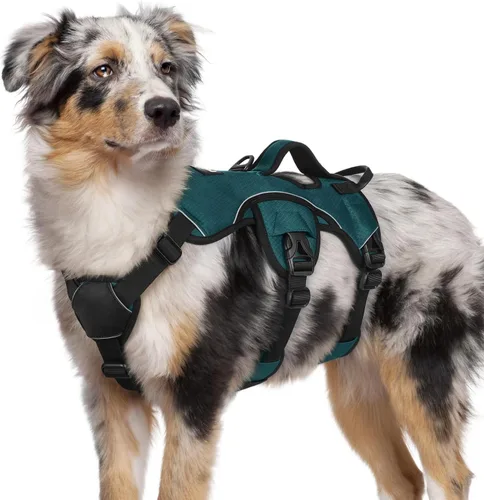 Vista 21 de rabbitgoo - Arnés para perros a prueba de fugas, arnés para mascotas acolchado y suave de cuerpo completo, arnés reflectante ajustable sin tirones