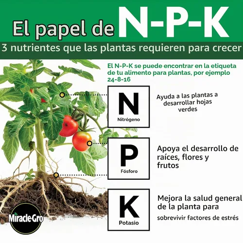 Vista 5 de Miracle Gro 101430 Regadera individual Alimento vegetal multiusos 24-8-16 24 unidades Soluble en agua, fertilizante para flores, verduras, plantas