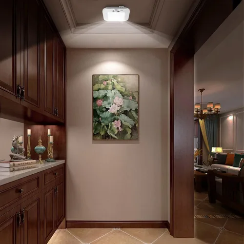 Vista 7 de Luz de Techo con Sensor de Movimiento a Batería, 180LM 6000K Luces de Armario a Batería con Sensor de Movimiento, Luz de Techo Inalámbrica de 48LED