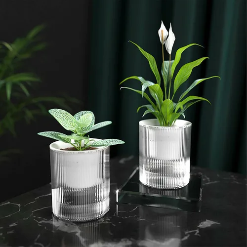 Vista 2 de Macetas de riego automático de 7 pulgadas, caja transparente de riego automático para plantas de interior, flores, exteriores, alféizar de ventana