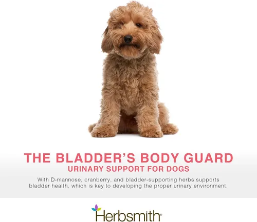 Vista 2 de Herbsmith, Cuidado de la vejiga para gatos y perros – Mantiene la salud urinaria para perros y gatos – Apoyo renal para perros y gatos – 2.65 oz