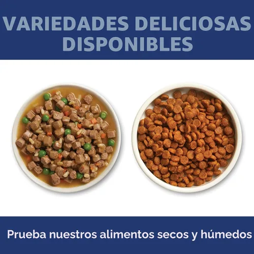 Vista 8 de Hill's Science Diet Alimento seco para gatos adultos 1-6 # 1 recomendado por veterinarios, receta de pollo, 4 libras. Bolsa